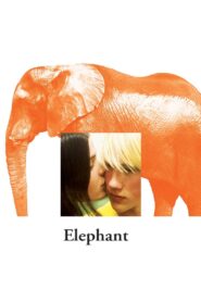 Słoń zalukaj