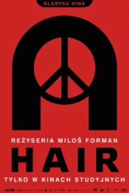 Hair zalukaj