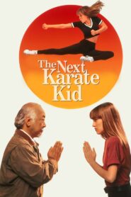 Karate Kid IV: Mistrz i uczennica zalukaj