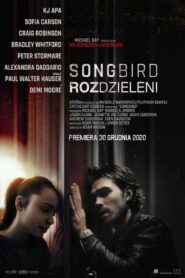 Songbird. Rozdzieleni zalukaj