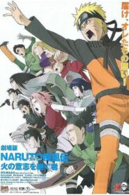 劇場版 NARUTO -ナルト- 疾風伝 火の意志を継ぐ者 zalukaj