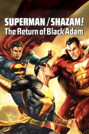 DC Showcase: Superman/Shazam!: The Return of Black Adam zalukaj