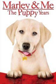 Marley & Me: The Puppy Years zalukaj