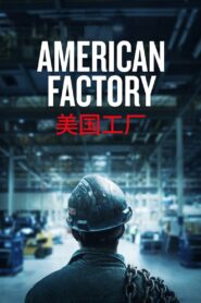 American Factory zalukaj