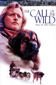 The Call of the Wild: Dog of the Yukon zalukaj