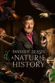 Fantastyczne zwierzęta: Historia naturalna zalukaj