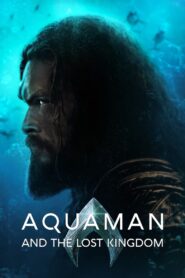 Aquaman and the Lost Kingdom zalukaj