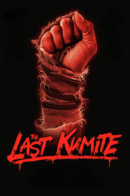 The Last Kumite zalukaj